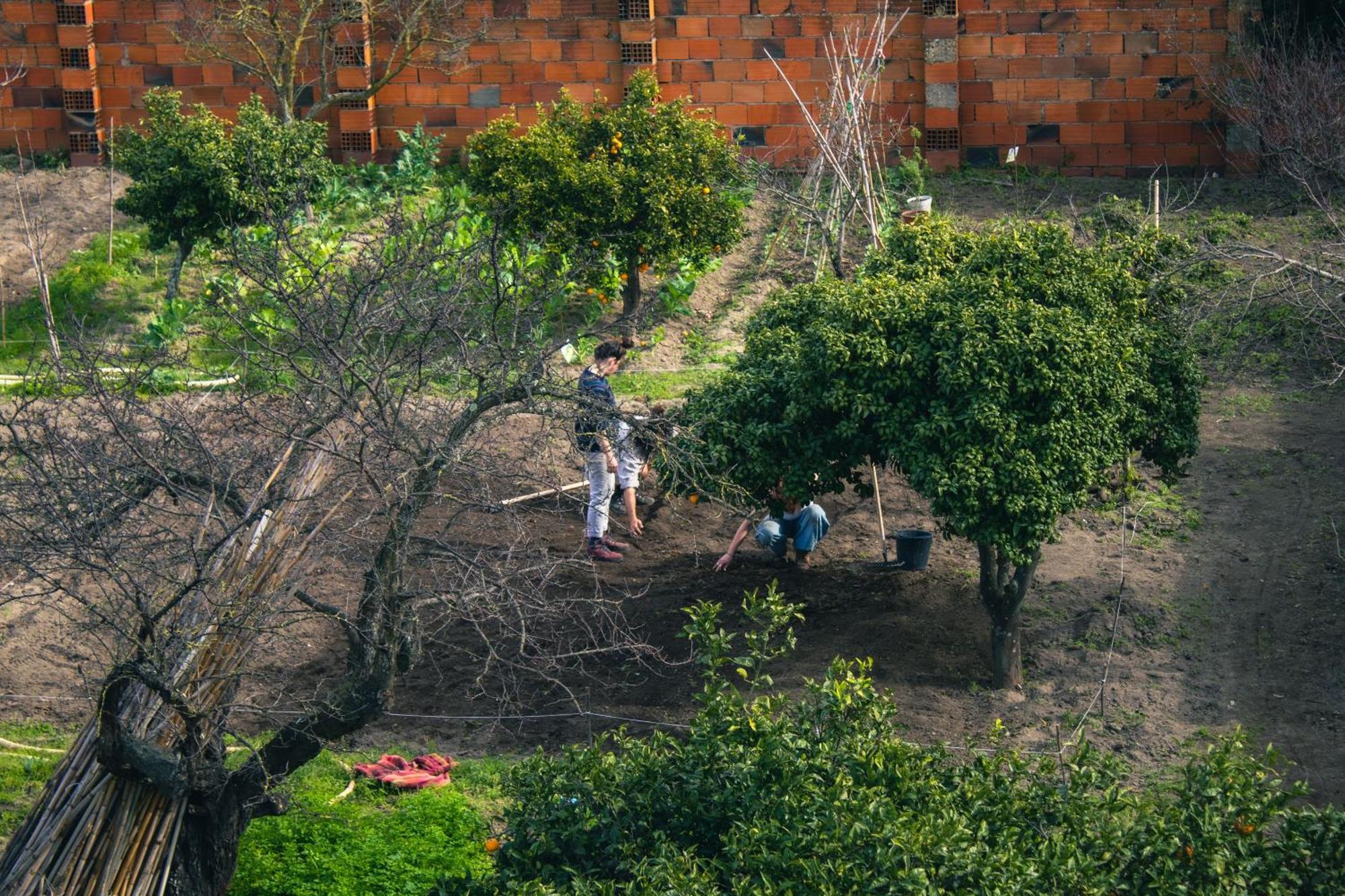 Montijo Garden - Private Rooms 外观 照片
