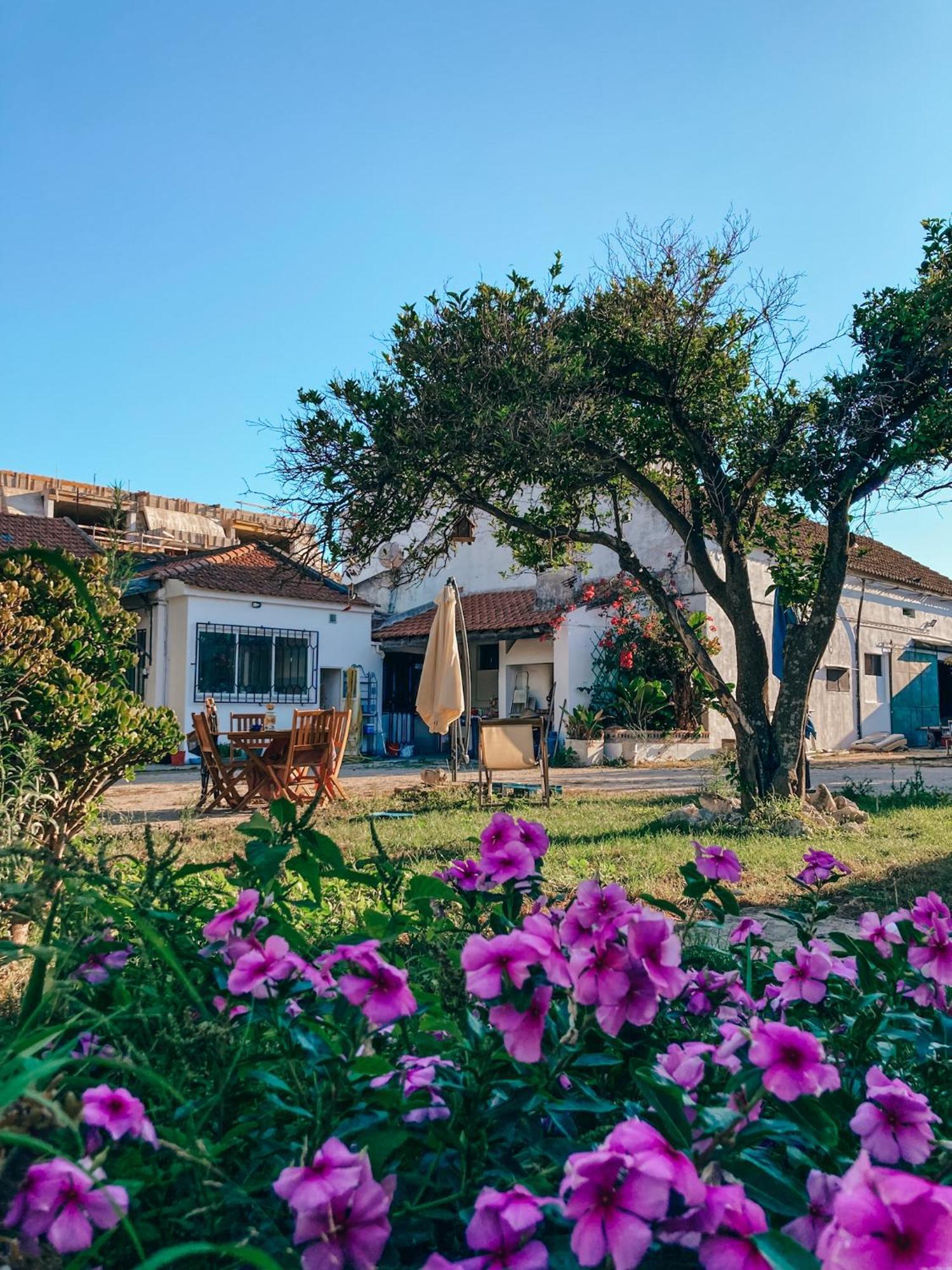 Montijo Garden - Private Rooms 外观 照片