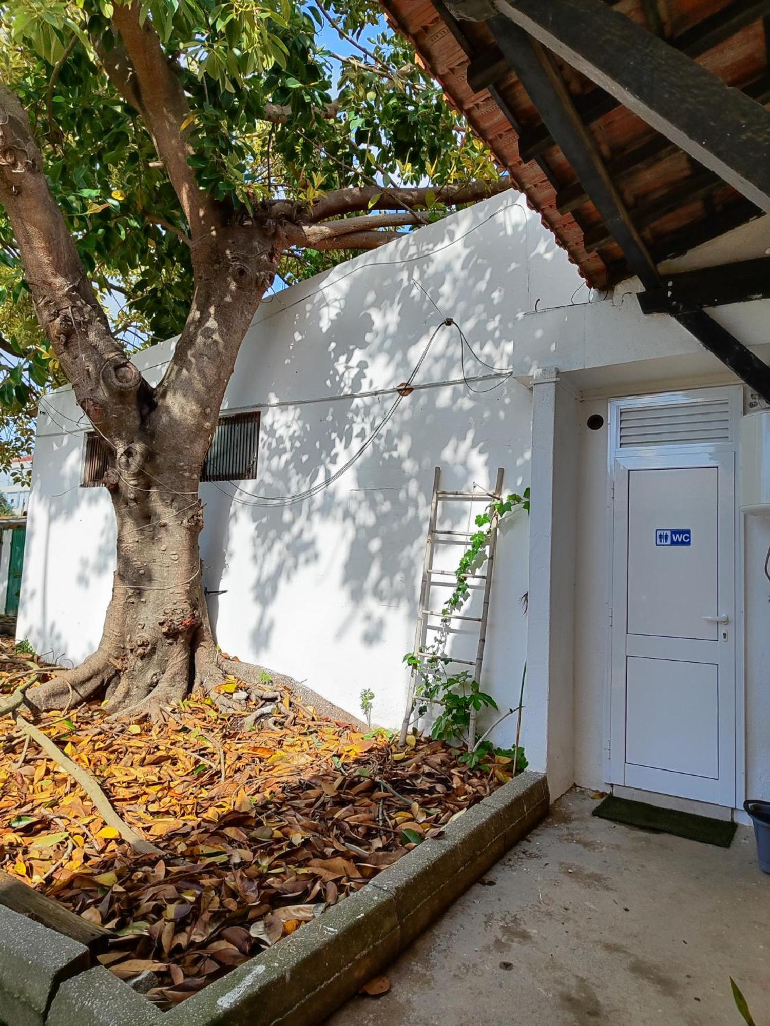 Montijo Garden - Private Rooms 外观 照片